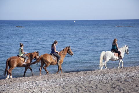 Horse riding tours