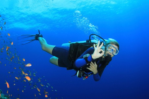 Discover diving